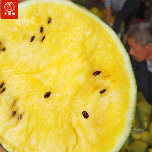 Dayu Yellow Heart Watermelon Seed Seedlings, Early Mature, Yellow Skin, Red Flesh, Yellow Flesh, Special Xiaofeng Watermelon Seeds, Southern Fruit, Yellow Flesh, Xiaofeng Watermelon Seeds, 10 capsules