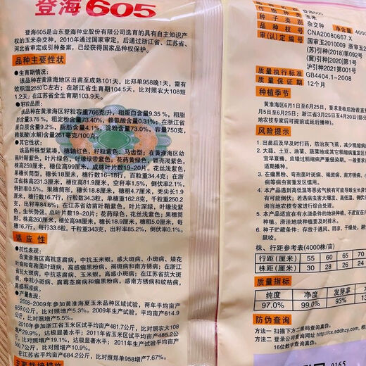 Asarum Denghai 605 corn seed corn seed encyclopedia red shaft big stick golden grain original drought-resistant and lodging Denghai 605 4000 grains original