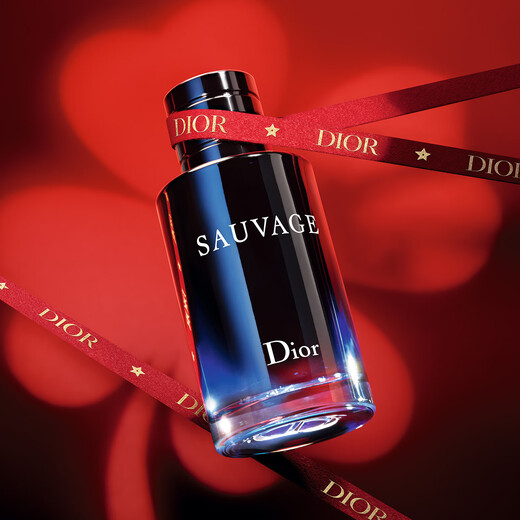 Dior DIOR Wilderness Men's Eau de Toilette 100ml Woody Fragrance Fragrance Gift Box Birthday Gift New Year's Gift for Men