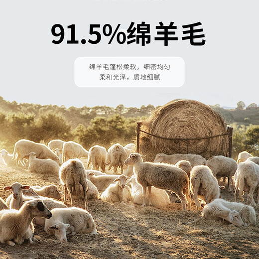 Langden Sheep Wool Blended Autumn and Winter Men's Wool Cardigan Jacket Thick Baseball Collar Knitted Top for Men