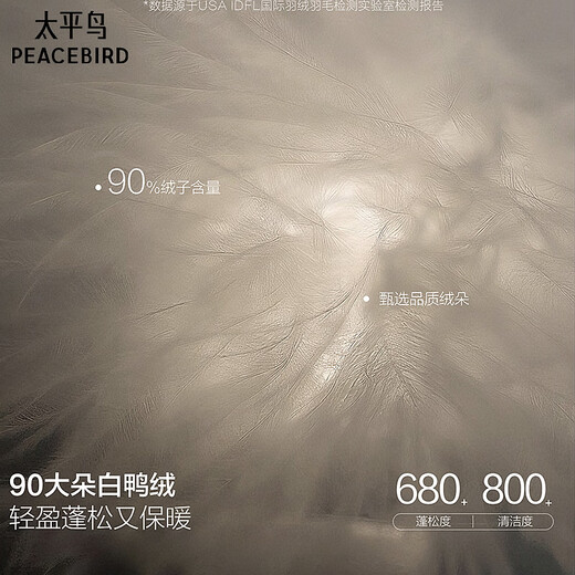 PEACEBIRD Men's Wear Shopping Mall Same Style Stand Collar Down Jacket Winter New Bread Jacket Trend B2ACF4534 Fossil Brown 1 L