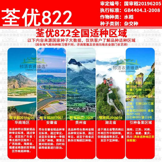 Wangyuan Xingquanyou 822 высокоурожайный и стабильный гибридный рис, устойчивый к полеганию, высокой температуре, твердый и устойчивый к удобрениям, высококачественный суперрис оптом Quanyou 822 5Jin Jin, равный 0,5 кг + средство для замачивания семян + мешок для замачивания семян