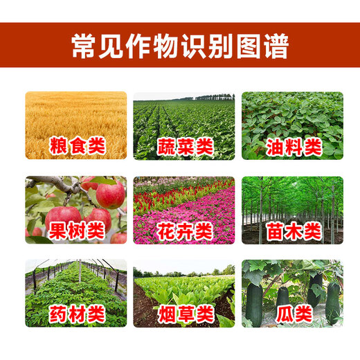 8% amine fatty acid regulator, wheat cold resistance antifreeze, plant growth regulator to alleviate phytotoxicity, vegetable damage, 8% amine fatty acid ester 10g*10 bags