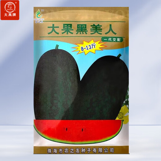 Dayu Black Beauty Watermelon Seeds Extra Large Super Sweet Black Skin Watermelon Seeds Early Maturity Suitable for the South Big Fruit Black Beauty Watermelon Seeds 300 capsules/bag