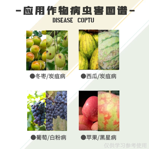 Hulian Plant Protection 40% prochloraz fungicide difenoconazole prochloraz bactericidal anthracnose pesticide difenoconazole prochloraz 500g