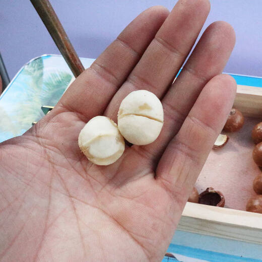 He Jiagong walnut clip opener nut artifact walnut macadamia nut fresh raw macadamia nut clip shell opener upgrade new adjustable size (yellow model) large box