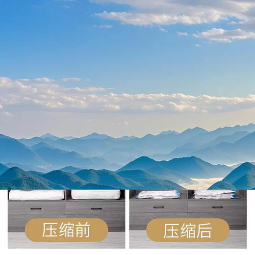 Yusenyi Edo vacuum compression bag thickened storage clothing quilt artifact clothing quilt down jacket 110x40x44cm 110 110x40x44cm