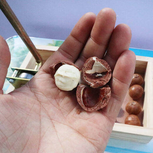 He Jiagong walnut clip opener nut artifact walnut macadamia nut fresh raw macadamia nut clip shell opener upgrade new adjustable size (yellow model) large box