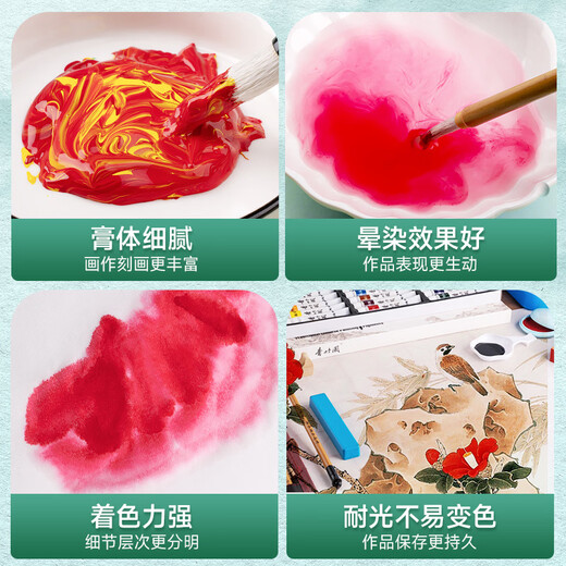 Green Bamboo Painting Materials (CHINJOO) Chinese Painting Pigments 5ml 12 Colors 14-piece Set Children's Ink Painting Box Single Pigment Primary School Students Entry-Level Chinese Painting Supplies Tools Full Set of Art Sketching with Brick Box