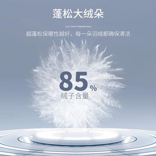 Rich 85 duck down winter men's down jacket windproof hooded warm jacket men's high-end men's down jacket