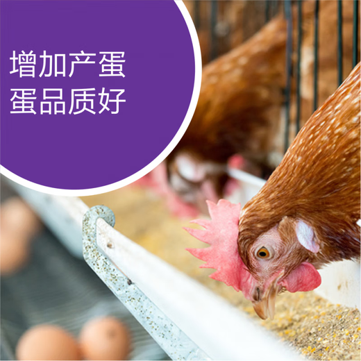 OIMGOI Venomycin multi-mineral trace element mineral premix for livestock, poultry, aquatic products, cattle and sheep feed agent 1kg/bag