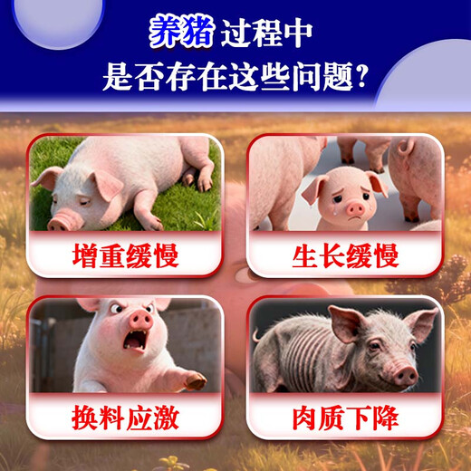 Hefeng pig fattening 508 compound premixed feed for fattening, bone development and good absorption, dedicated for breeding, 2 bags in total, 2kg, 1kg can be mixed with 1 ton