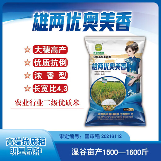 Asarum Laozhang, Xiongliangyouaomeixiang, ароматный рис высокого качества, большие початки, стабильная урожайность, устойчивость к полеганию, сильный аромат, крупный рис. 5ЦзиньЦзин равен 0,5 килограмма.