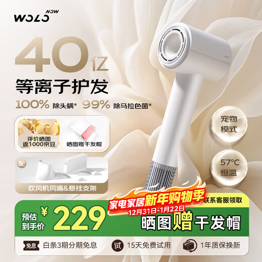 WoLe 4 billion plasma high-speed hair dryer household silent negative ion high-power does not hurt the power generation hair dryer leafless quick-drying gift for girlfriend New Year's Eve annual party gift
