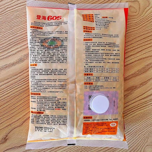 Asarum Denghai 605 corn seed corn seed encyclopedia red shaft big stick golden grain original drought-resistant and lodging Denghai 605 4000 grains original