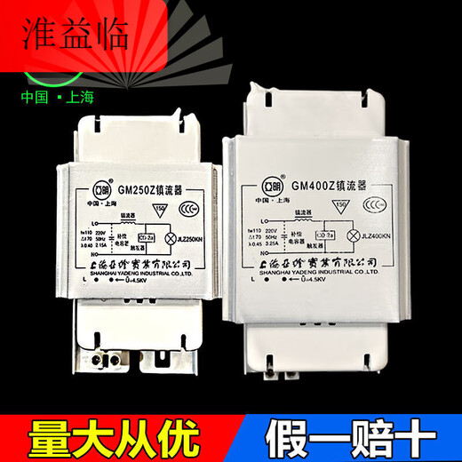 High pressure sodium lamp ballast NG70w100w150w250w1000W/GM400W metal halide lamp rectifier 400w sodium copper town high efficiency model