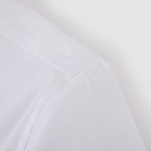 Shuiyunjian Women's Lapel Commuting Professional Simple White Shirt Short Top 26 Spring New Style White S