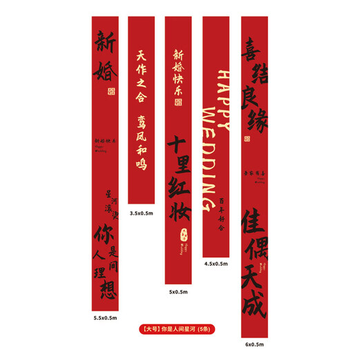 Xushansi Decoration Hanging Cloth Customized Wedding Opening Banner Christmas New Year's Day 2026 New Year Decoration Banner Hanging Flag Housewarming Vertical Banner Wedding Banner Large You Are the Galaxy on Earth (5 pieces)