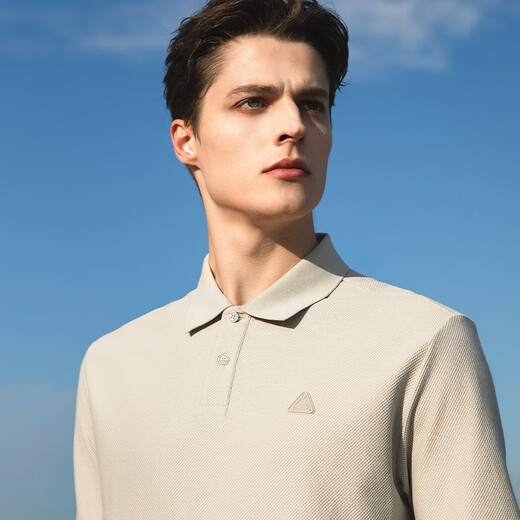 VICUTU men's short-sleeved T-shirt business Polo shirt casual versatile temperament commuter half-sleeved top 175/92A