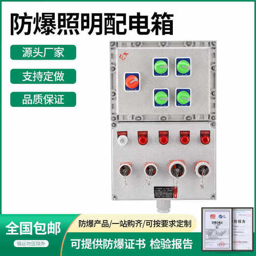 Explosion-proof socket inspection box power distribution power lighting control distribution control cabinet power supply instrument PLC frequency conversion customization main switch + six circuits (with pin)