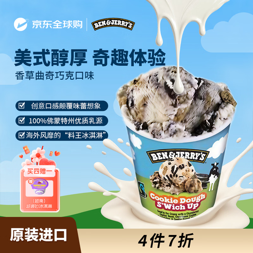 BEN & JERRY S United States Ben & Jerry's Ice Cream Vanilla Cookie Chocolate Vat Ice Cream 465ml Family Size Ice Cream