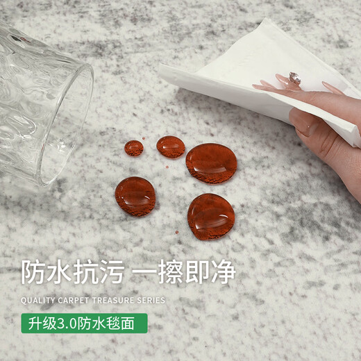 Budisi autumn and winter plush carpet living room light luxury bedroom large area thickened sofa high-end no-wash wipeable gray waterproof flow shadow anti-stain imitation cashmere 200*300CM versatile recommended size