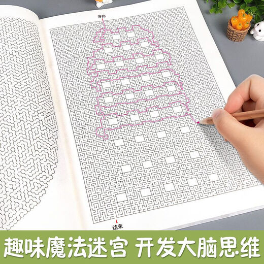 【京东快递】儿童专注力训练迷宫书学生高难度成人解压挑战思维游戏益智力玩具专注力训练思维游戏训练书智力开发 高级篇【一本】 无规格