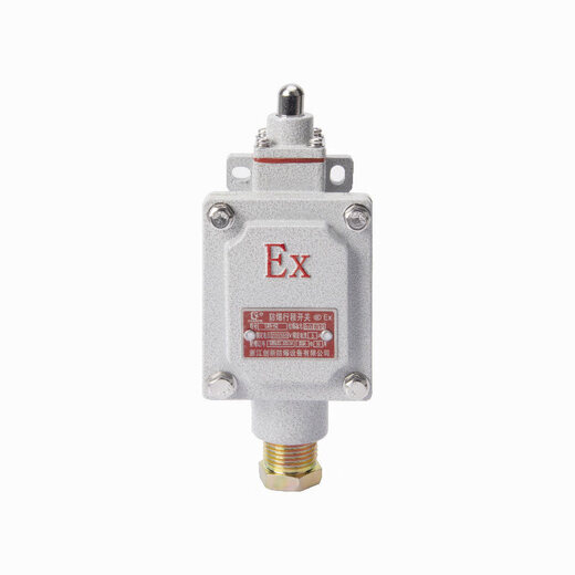 Explosion-proof travel switch LX5-15Z/L/B/D/H/N BZX51 limit foot switch double pedal dLXK-10A LX5-5B type