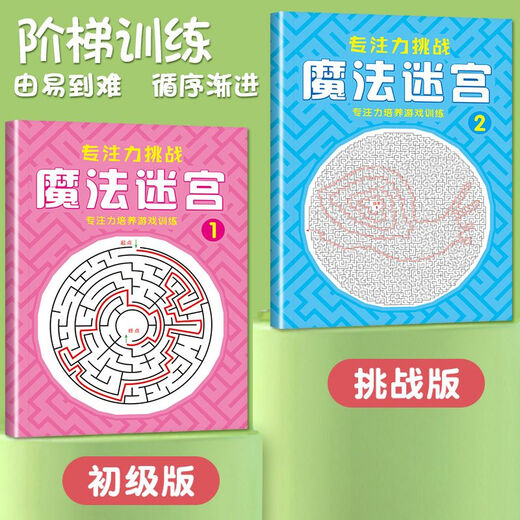 【京东快递】儿童专注力训练迷宫书学生高难度成人解压挑战思维游戏益智力玩具专注力训练思维游戏训练书智力开发 高级篇【一本】 无规格