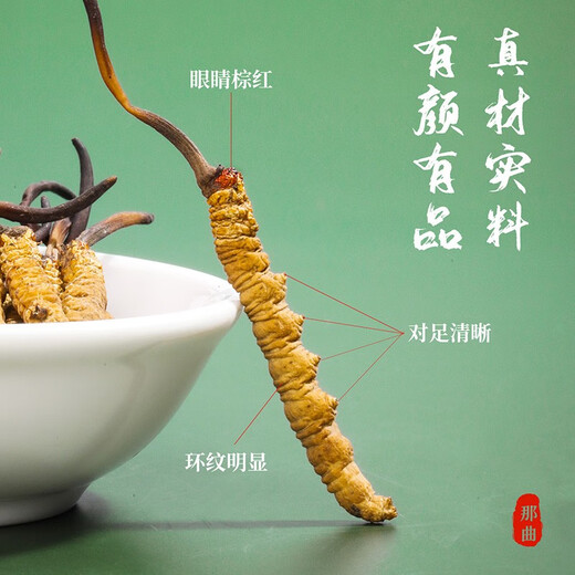 
Shengdikangzang [Festive Gift] Wild Cordyceps sinensis in Nagqu Nagqu Nagqu High-altitude Cordyceps Selected Gift Box 5 pieces/gram 20 grams