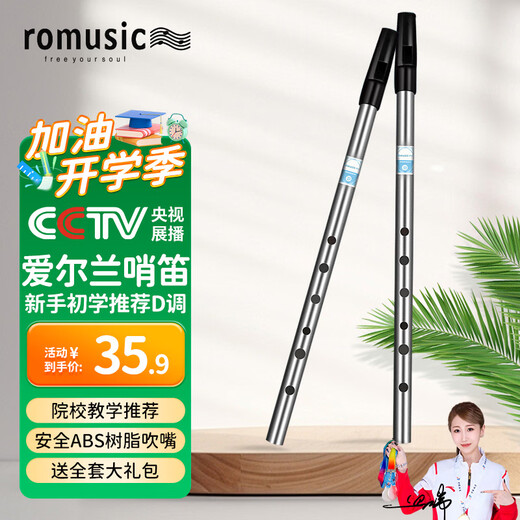 Romusic whistle Irish D key six-hole recorder beginners entry door flute adult student professional playing instrument silver