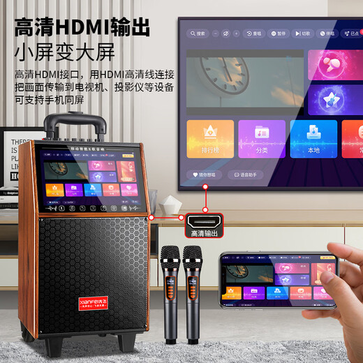 Xianfei square dance audio with display screen outdoor audio karaoke all-in-one trolley speaker mobile Bluetooth home KTV audio karaoke machine large volume 20-inch touch panel + dual microphones + U disk + bracket