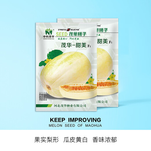 Zhongke Maohua Melon Fruit Seeds Maohua Sweet Fei Sweet Melon Seeds Northeastern Hybrid Jinfei Melon Oval Sugar Contains 16-18 Degrees Maohua Sweet 50 capsules/bag Trial Planting Pack