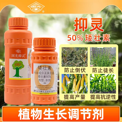 Guoguang Yiling 50% chlormequat plant cotton anti-lodging long corn control leggy wheat control dwarf flagship 500g