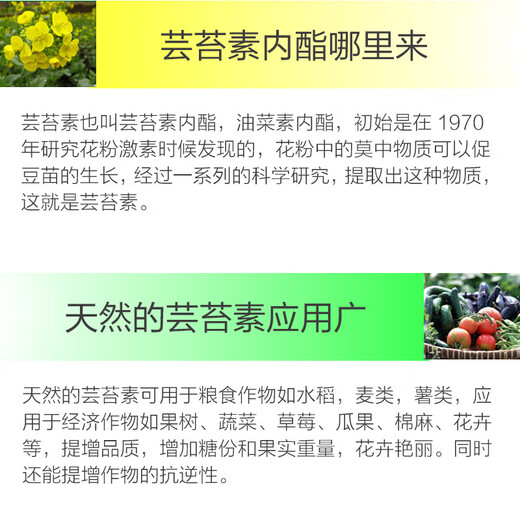 Zhongbao ZhB24 epibrassinolide lipid, rice, citrus, wheat, cucumber, growth-promoting and root-promoting plant growth tune 100ml