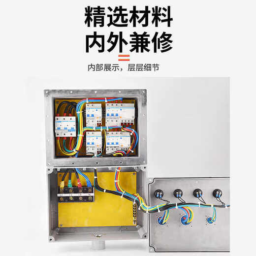 Explosion-proof socket inspection box power distribution power lighting control distribution control cabinet power supply instrument PLC frequency conversion customization main switch + six circuits (with pin)