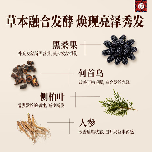 Changfa Xiaozhai Ginseng Polygonum Multiflorum + Ginger Polygonum Multiflorum Shampoo + Hair Lotion Set