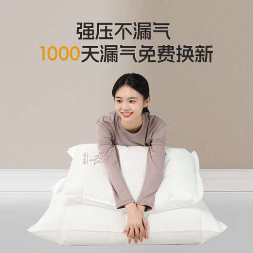 Yong Huan vacuum compression bag storage electric pump quilt bag double-sided 44 silk extra thick Oxford cloth | no pump package (recommended for repurchase) 8 pieces + extra large 100x80cm