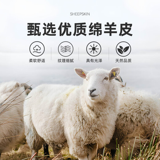 Raidy Boer Sheep Leather 2026 Spring Men's Casual Leather Jacket 2703 Coffee S /165/46