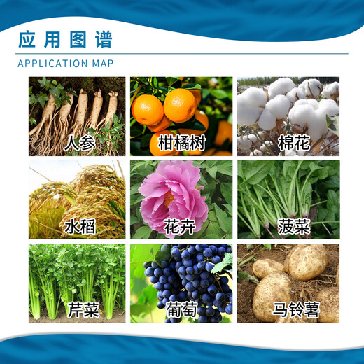 Sanliu Shanghai Tongrui 920 Sanliu 75% gibberellic acid crystal powder seed production and fruit growth regulator 1g
