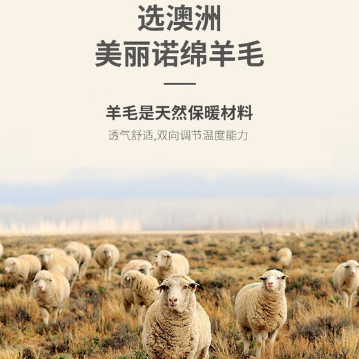 Jinju Sheep Wool 100% New Winter Solid Color Wool Sweater Men's Basic Versatile New Lime XL