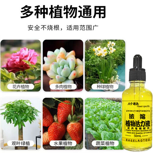 Eight Laotou Plant Vitality Liquid Concentrated Nutrient Solution Growth Promoting Phalaenopsis Hydroponics Moisturizing Green Plants and Flowers General Sustained Release Concentrated Plant Vitality Liquid Yiwu Quality Gray