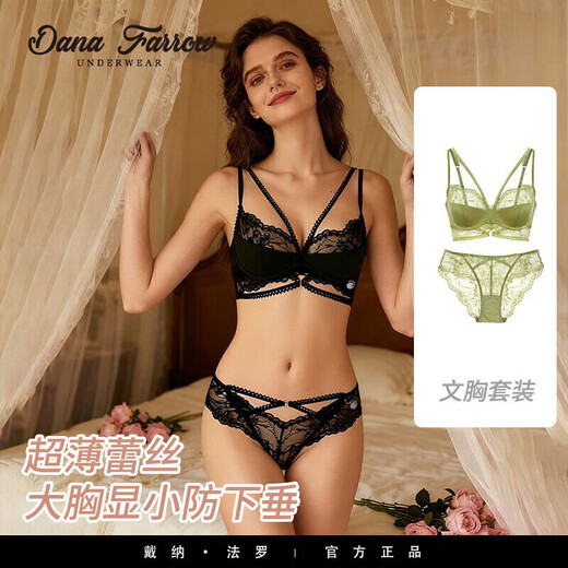 DANA FARROW brand 2026 new sexy lace underwear women's bra big breast slimming anti-sagging suit for women burgundy suit 70B one size