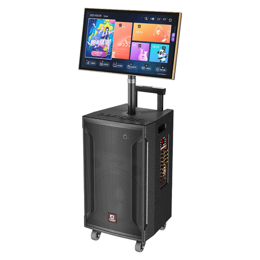 Manlong square dance audio high-power wireless microphone Bluetooth musical instrument Internet celebrity live broadcast mobile outdoor high-end karaoke machine singing trolley speaker W-12S audio dual microphone + gift package