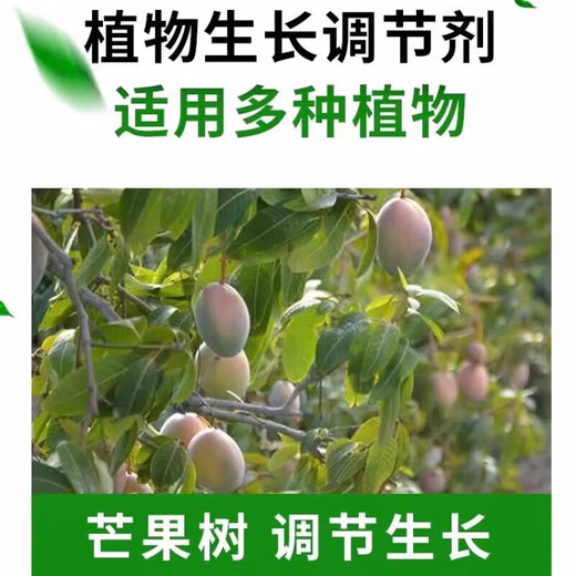 25% paclobutrazol suspension agent for fruit trees, flowers and rice, dwarfing agent, control growth regulator, 500g*20 bottles