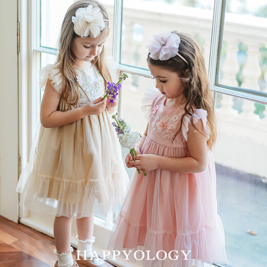 Happyology British children's embroidered mesh children's clothing small flying sleeve girls' dress spring and summer mesh skirt