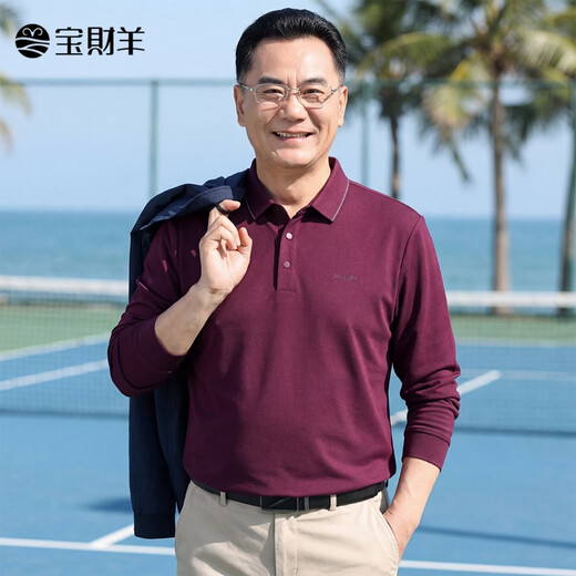Baocaiyang long-sleeved T-shirt men's dad's clothing spring and autumn business casual lapel polo sweater middle-aged and elderly clothing