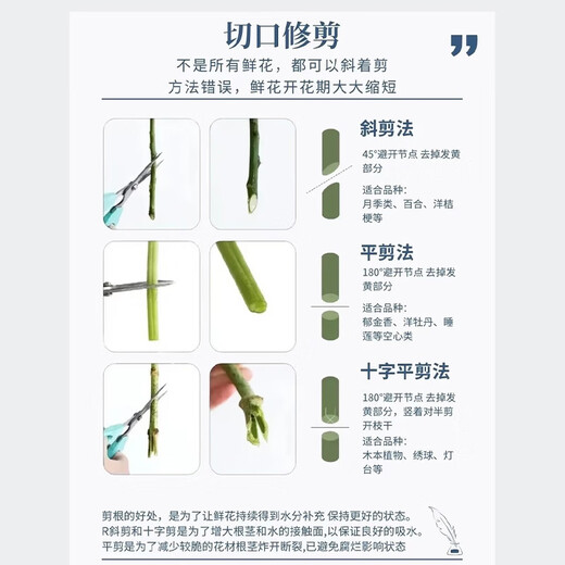 Mengxin Flowers Valentine's Day Flower Express 11 red roses gift box bouquet for girlfriend's birthday gift nationwide citywide delivery 33 blue enchantress bouquet - love that never fades