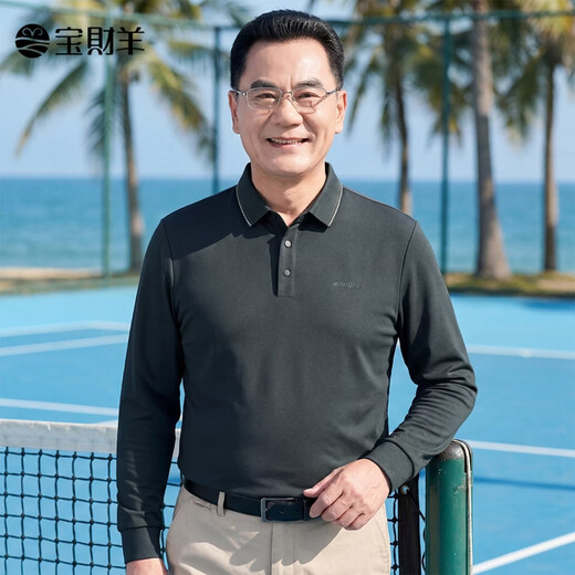 Baocaiyang long-sleeved T-shirt men's dad's clothing spring and autumn business casual lapel polo sweater middle-aged and elderly clothing