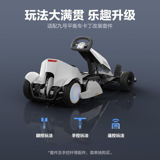 NINEBOT九号卡丁车儿童成年人炫酷漂移车四轮小赛车9号平衡车mini改装卡丁车套件2网红款APP男女智能车pro 九号卡丁车mini双色保马烤漆款